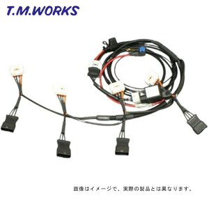 DP1001 T.M.WORKS�yTM���[�N�X�z�_�C���N�g�p���[�n�[�l�X�i�g���^/�_�C�n�c/�X�o�� 4�C���ԗp�j
