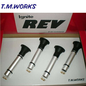IRN116 T.M.WORKSyTM[NXzCOiCg u Ignite Ignite REViY GT-Rpj