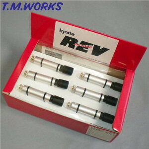 IRB101 T.M.WORKS�yTM���[�N�X�z�C�O�i�C�g ���u Ignite Ignite REV�iBMW 6�C���Ԑ�p�j
