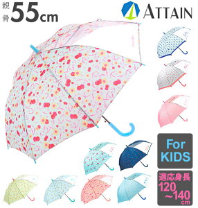 WvP LbY 55cm ATTAIN AeC yV 1R}t Wv P OXt@Co[ P qǂp v ܂ɂ y y 킢  ʊw oZ w w wZ w