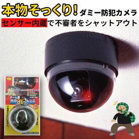 楽天市場 車 ダミーカメラの通販