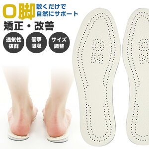 C\[ or T|[g ʔ Ռz fB[X Y NbV C ~ p jp  C ƃT|[^[ d STCY  23cm MTCY  24cm LTCY  25cm LLTCY 
