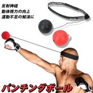 パンチングボール 自宅 楽天 反射神経 トレーニング エクササイズ ボクシング 瞬発力 ストレス発散 スト…