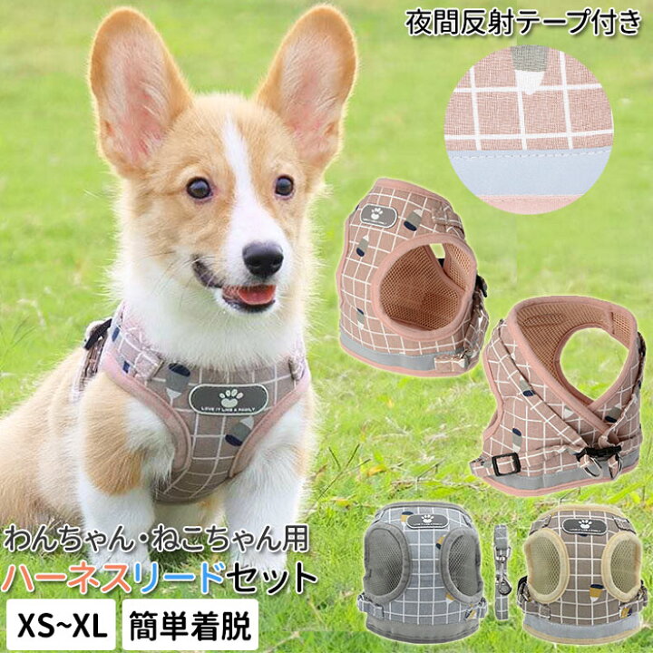 楽天市場 ハーネス 小型犬 可愛い 楽天 リード付 おしゃれ 犬 猫 抜けない ハーネスリード リードセット かわいい 中型犬 子犬 仔犬 散歩 お出かけ 首輪 胴輪 リード 犬用品 ペットグッズ Backyard Family インテリアタウン