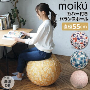 バランスボール カバーの人気商品 通販 価格比較 価格 Com バランスボール カバーの人気商品 通販 価格比較 価格 Com