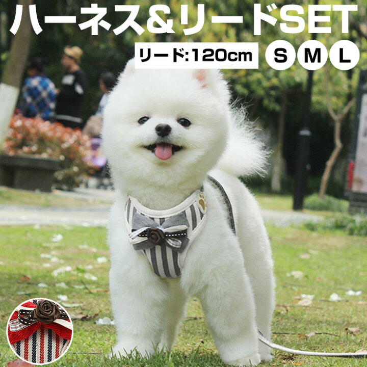 楽天市場 犬 リード ハーネス セット 楽天 胴輪 小型犬 可愛い ハーネスリード 犬用 中型犬 ペット用品 いぬ おしゃれ お出かけ 犬用 散歩 イヌ 丈夫 かわいい お散歩 Backyard Family インテリアタウン