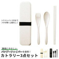 箸 スプーン フォーク セット 楽天 おしゃれ カトラリーセット 大人用 トリオセット カトラリーケース お…