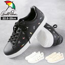 アーノルドパーマー スニーカー Arnold Palmer AL0705 楽天 ローカット レディース コートシューズ コートスニーカー 軽量 軽い 紐靴 レースアップ ブランド ロゴ おしゃれ シンプル 大人 かわいい 可愛い 歩きやすい 通学 通勤 靴 シューズ レディース靴