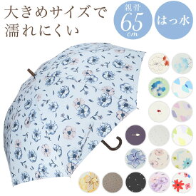 傘 レディース 大きめ 楽天 ワンタッチ傘 長傘 雨傘 65cm ジャンプ傘 レディース amusant sous la pluie グラスファイバー骨 カサ かさ 耐風 丈夫 通学 通勤 おしゃれ かわいい レイングッズ