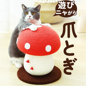 L ܂Ƃ ܌ yV ܂Ƃpi ܃PA Lp܂Ƃ ߂Ƃ Lpi ܃PApi ybg   lR ˂ 킢 fUC ̂ LmR