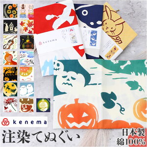 kenema Pl} ʂ yV G@ GĂʂ Ăʂ @ ʂ  35×90cm  100p[Zg ^yXg[ ͂܂  { `I  H ~ G a a aG 