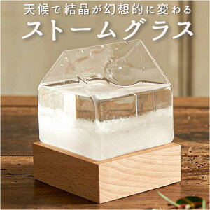 JY Xg[OX nEX yV I[ig IuWF  u  fR[V k TCGX Ȋw   킢 Mtg 蕨 CeA G