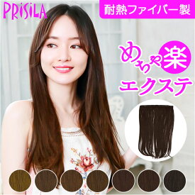 プリシラ エクステ TX-25 PRISILA 楽天 エクステンション つけ毛 付け毛 ヘアエクステ ロング 大人 ワンタッチ インナー パッチン 自然 耐熱 めちゃ楽エクステ ヴァージンストレート ロングストレート ヘアケア スタイリング レディースヘアケア