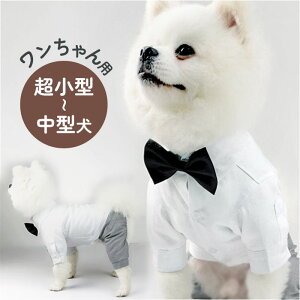 ybg  Vc   yV tH[}  X[c 畞 tH[}X[c ybg  Zbg ̕ hbOEFA ybgEFA OJ j̎q {^ i _ 炩 