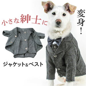 ペット 服 スーツ ベスト 犬 いぬ 楽天 ペット服 コスチューム コスプレ ジャケット 犬服 犬の服 ドッグウェア ペットウェア フォーマル おしゃれ 二足歩行 猫服 猫 ねこ ネコ 写真撮影 かわ