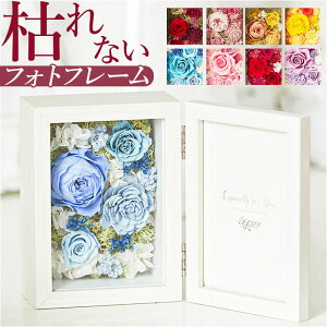 vU[uht[ ʐ^ yV   vU[ht[ t[Mtg Petit Jardin v`W_ tHgt[ j Vzj AtHg җj ̓ 60 