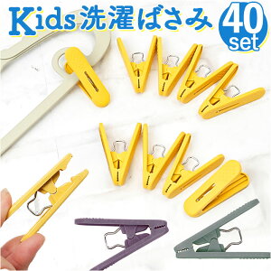 oT~ 킢 yV s` h[s` s` ΂ 40 (10x4) LbY΂ qp   Nbv  h[pi pi qǂ ǂ 