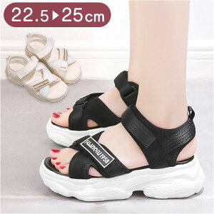 T_ fB[X yV T_ X|[cT_ RtH[gT_ fB[XT_ C V[Y C  Nc  ̎q WjA wlC 킢 w w