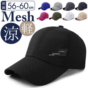 X|[cLbv yV bV ʋC Xq Lbv \ jOLbv fB[X  Vv 悯 ߂̃co ^ꂵɂ  ϋv ʋ ʊw }\ A