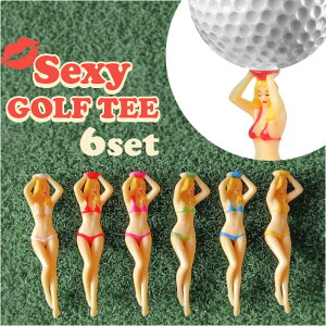 St eB[ ʔ yV ZNV[ rLj 6{Zbg 킢 SteB[  IV Ry ii v`Mtg Stpi ʔ ObY ObY EP_ Ehpi  