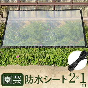 K[fjO |V[g [vt 2×1m yV V[g V[g tB hV[g Jo[ J悯 یV[g ی A 悯   rj[ ܂肽 ܂ 