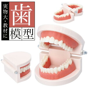  ͌^ yV    ͌^  180x J ͌^ ㉺{ V { o f^PA ubVOw w wZ wK    w w p ώ@ Z w  