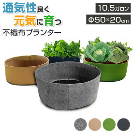 不織布プランター 不織布ポット 50x20 楽天 プランター 布鉢 不織布 フェルトプランター 布製 軽量 軽い 丈夫 省スペース コンパクト収納 ガーデニング 花壇 野菜 花 はな 使いやすい 庭 家庭菜園 ベランダ菜園 廃棄がラク 統一感 おしゃれ