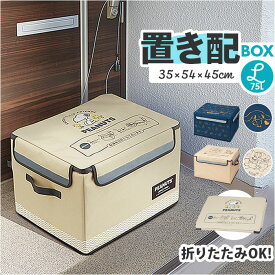 宅配ボックス 折りたたみ 楽天 宅配便ボックス W540×D450×H350mm 置き配ボックス Lサイズ 置き配 宅急便ボックス 不在 留守 宅配便 宅急便 配達 受け取り 便利 コンパクト 収納 おしゃれ かわいい スケーター skater キャラクター