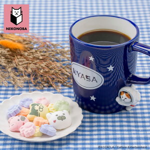 NEKONOBA ObY yV l }OJbv  킢 lRmo LN^[ H@s dqWs L ˂ lR LObY NYASA  250ml R[q[pi pi H mH L