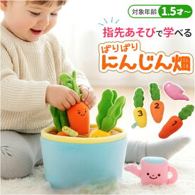 赤ちゃん おもちゃ 指先の知育 楽天 ベビー 玩具 ソフトトイ 知育玩具 ミニファームシリーズ ぱりぱりにんじん畑 布おもちゃ 指先遊び 出産祝い ギフト 贈り物 男の子 女の子 かわいい 布製おもちゃ おしゃれ 赤ちゃん用品 可愛い ベビー用品 アイアップ