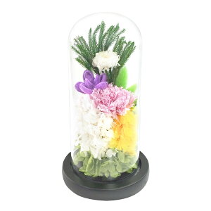 vU[uht[  yV   Ђ  KXh[ ͂Ȃ sv @  ~  ފ d  G CeA