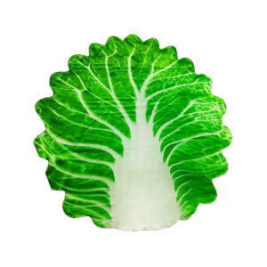 xr[  uPbg xr[^I H V yV 傫TCY ѕz ^I Ԃ Q CX^ 킢   CX^f j oYj LOBe