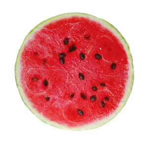 xr[  uPbg xr[^I H V yV 傫TCY ѕz ^I Ԃ Q CX^ 킢   CX^f j oYj LOBe