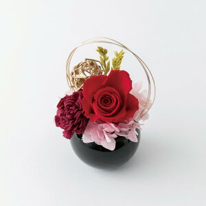 Temari Ă܂ t[AWg yV  vU[ht[ ͂Ȃ vU[uht[  AWg  t[ ̓ hV̓ a Mtg j LO 蕨