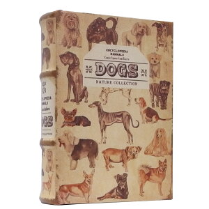 m B GveBubN{bNX yV   { GveBubN{bNX ANZT[P[X CeA AeB[N ւ {bNX P[X [P[X 閧 [ P