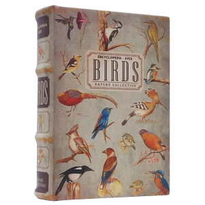 m B GveBubN{bNX yV   { GveBubN{bNX ANZT[P[X CeA AeB[N ւ {bNX P[X [P[X 閧 [ P