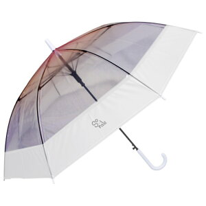 P qp 55 yV LbY q P w WvP ǂ qǂ ̎q q   t 55cm 55Z` Wv ʊw oZ JP J v OXt@Co[ LbYt@b