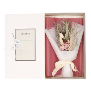 hCt[ u[P yV Ǝ 搶  bZ[Wu[P ԑ  j ސEj  킢 hV̓ ̓ ̓  v`Mtg 蕨 CeA O[oA[