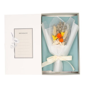 hCt[ u[P yV Ǝ 搶  bZ[Wu[P ԑ  j ސEj  킢 hV̓ ̓ ̓  v`Mtg 蕨 CeA O[oA[