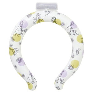 lbNN[[ yV O M  Ђ lbN N[[ ACX lbN O LbY fB[X  ۗ 킢 LN^[ MǑ΍ObY ʊw ʋ AEghA SKATER 