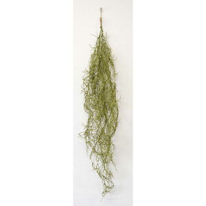 G} tFCNO[ yV ݂艺 O[ubV CTG} ϗtA tFCN nMO L R h C C~e[VO[ rO   킢 V 