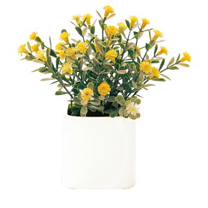 G} ϗtA yV  CeAO[ A  tFCNO[ ~j  ͂Ȃ  RpNg Eh|bg ی^ C~e[VO[ L  C