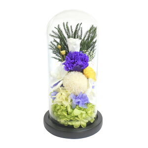  vU[uht[ dp yV  AWgt[  uU[uht[ KXh[AWg ݉ ފ ~ @ @v {  Q ͂