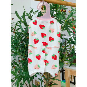 p㕞  yV ybg ybg L lR p Ck p㒅pEFA 앞 GUxXJ[  pEFA p hbOEFA p  rߖh~  ی  lGp D 