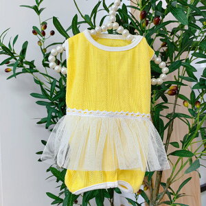 p㕞  yV ybg ybg L lR p Ck p㒅pEFA 앞 GUxXJ[  pEFA p hbOEFA p  rߖh~  ی  lGp D 