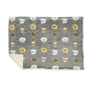 uPbg Ђ| yV 炩 G| Ђ G| Ȃ߂炩 {A ێ G肪ǂ  tl   킢 RpNg