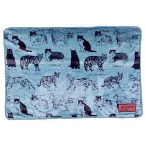 uPbg Ђ| yV 炩 G| Ђ G| Ȃ߂炩 {A ێ G肪ǂ  tl   킢 RpNg