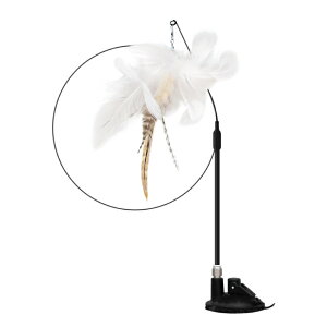 L炵 yV ˂  L zՎ ˂炵 Lpi ͂ ̉H 2way y lV ^s  KX  hA vC`FCXGNTTCY   m