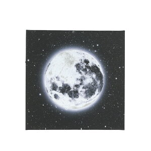 JY LED LpXA[g yV IuWF A[gpl pl LEDLpXA[g LpX A[g LEDŌ  Ǌ|   CeA  Mtg 蕨