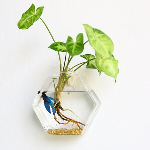 Ǌ| ԕr yV Ԃт Ԋ t[x[X KX ֑}  RpNg tbNt |Ȃ   NA Ǐ EH[fR rO CeA k͔|  I